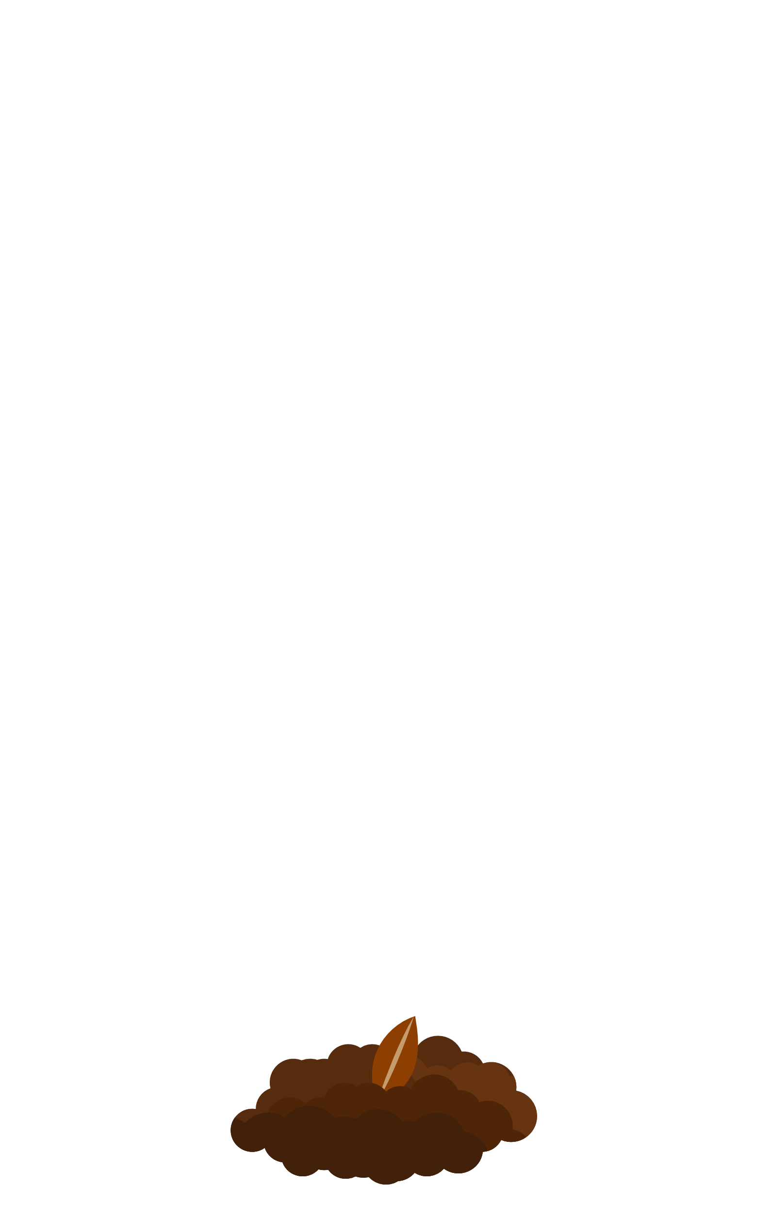 Gepflanzte Bloom