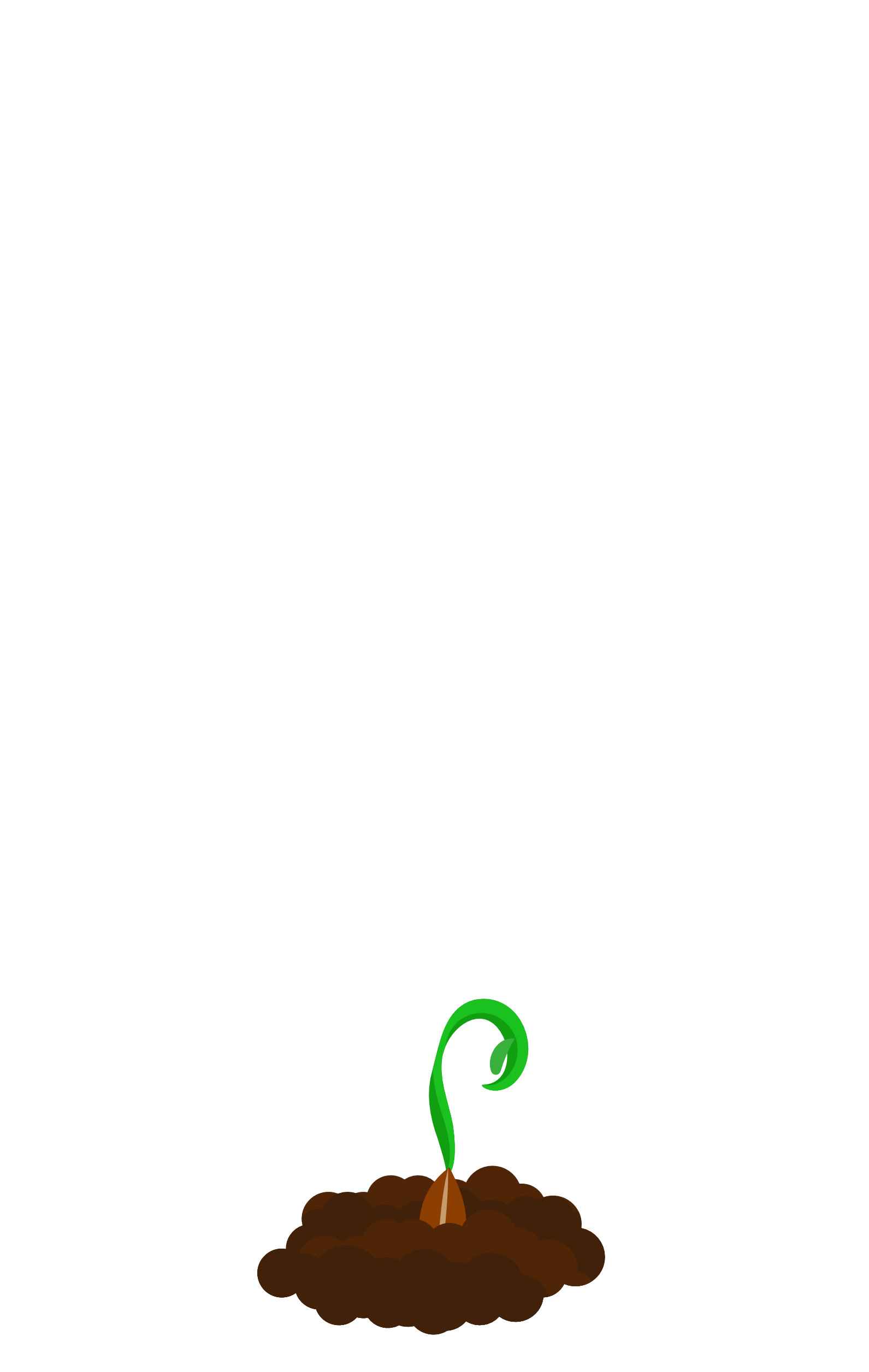 Sprießende Bloom