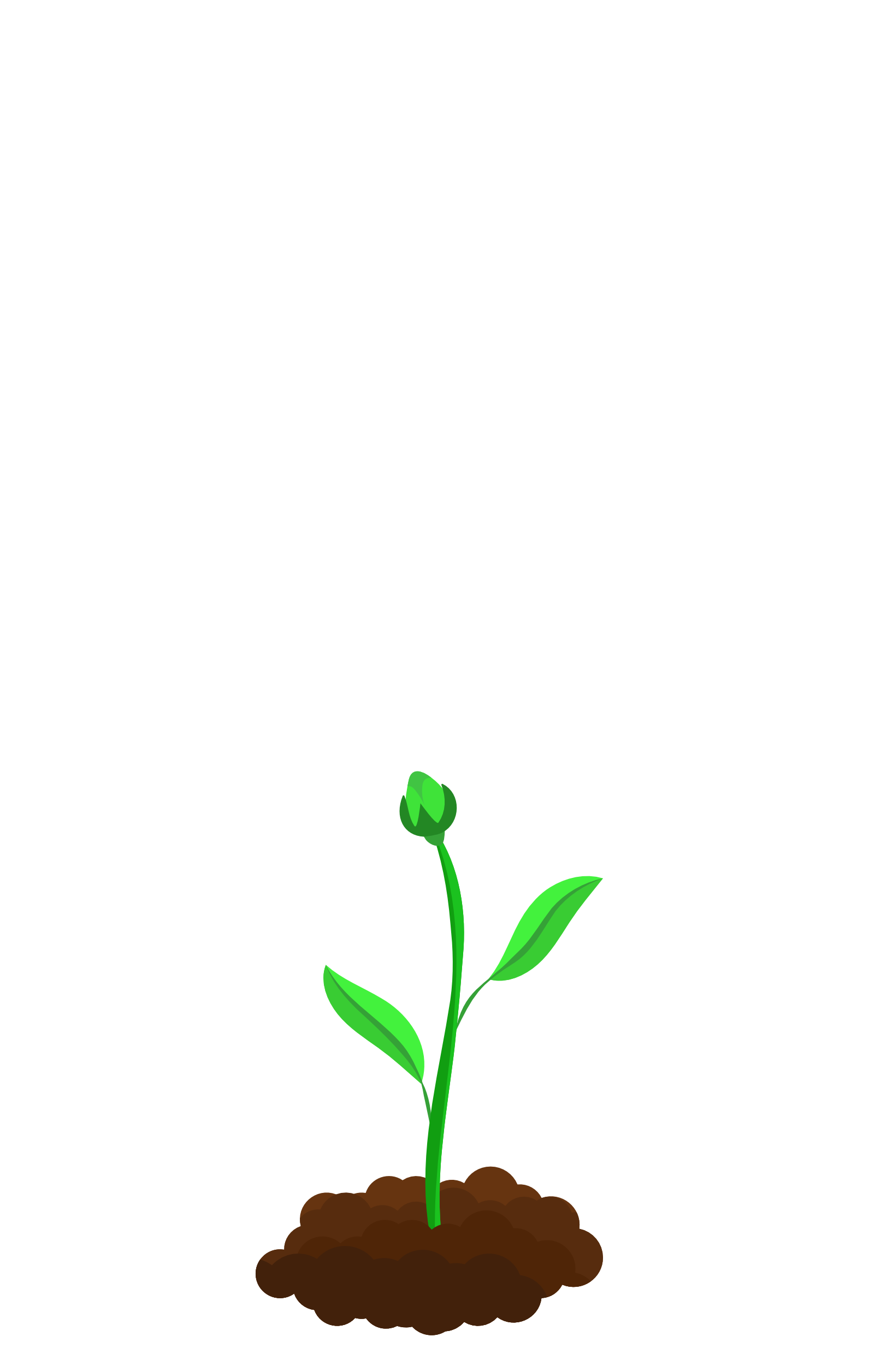 Wachsende Bloom