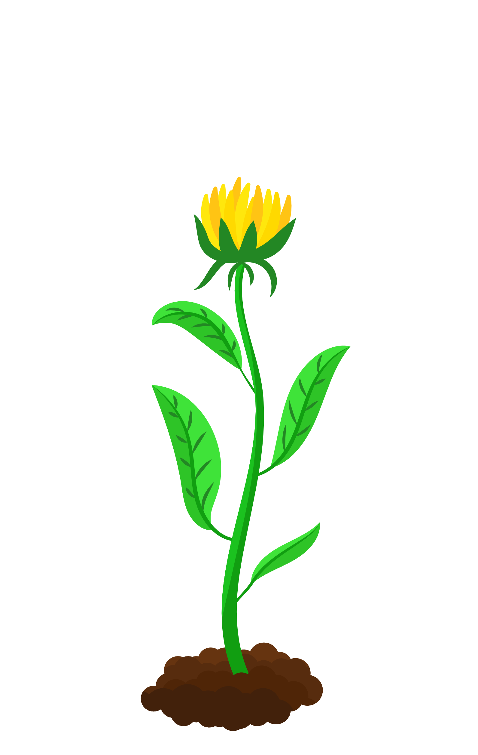 Blühende Bloom